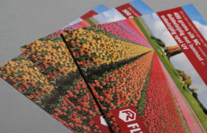 Flyerzone imprimerie en ligne